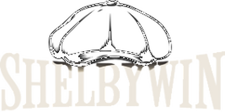 ShelbyWin logo