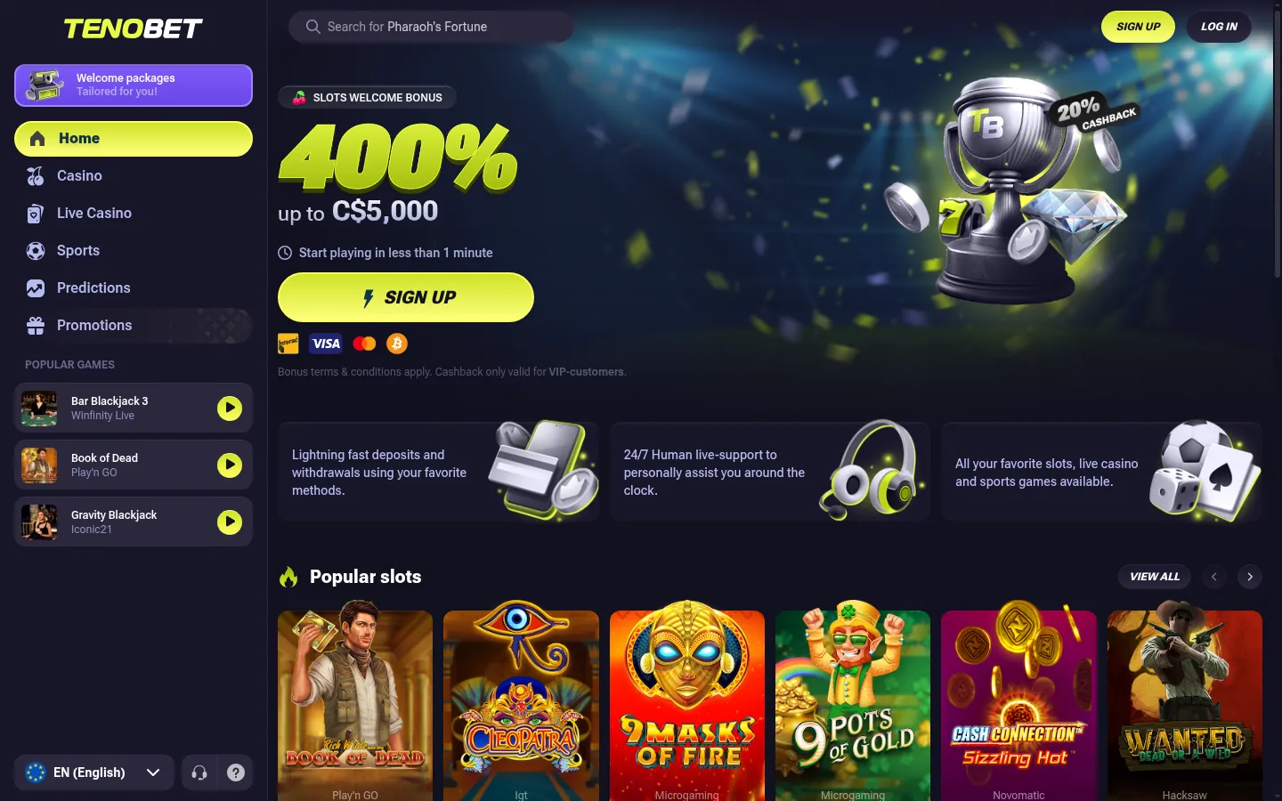 Home page of TenoBet Casino